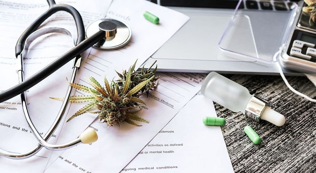 Study Finds Medical Cannabis Reduces Opioid Use