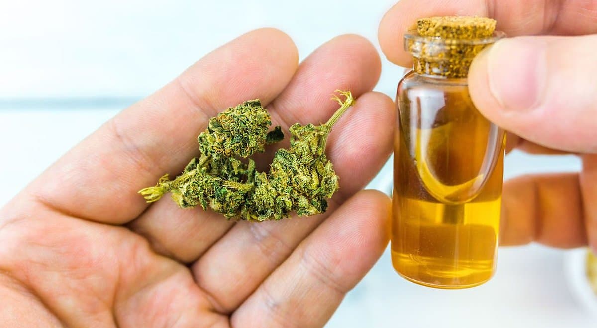 TGA delays decision on over-the-counter CBD oil