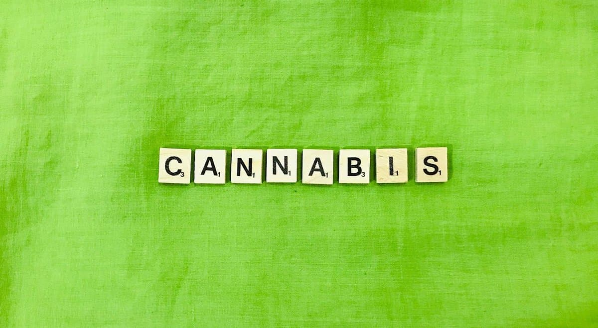 The‌ ‌truth‌ ‌about‌ ‌cannabis‌ ‌and‌ ‌schizophrenia‌