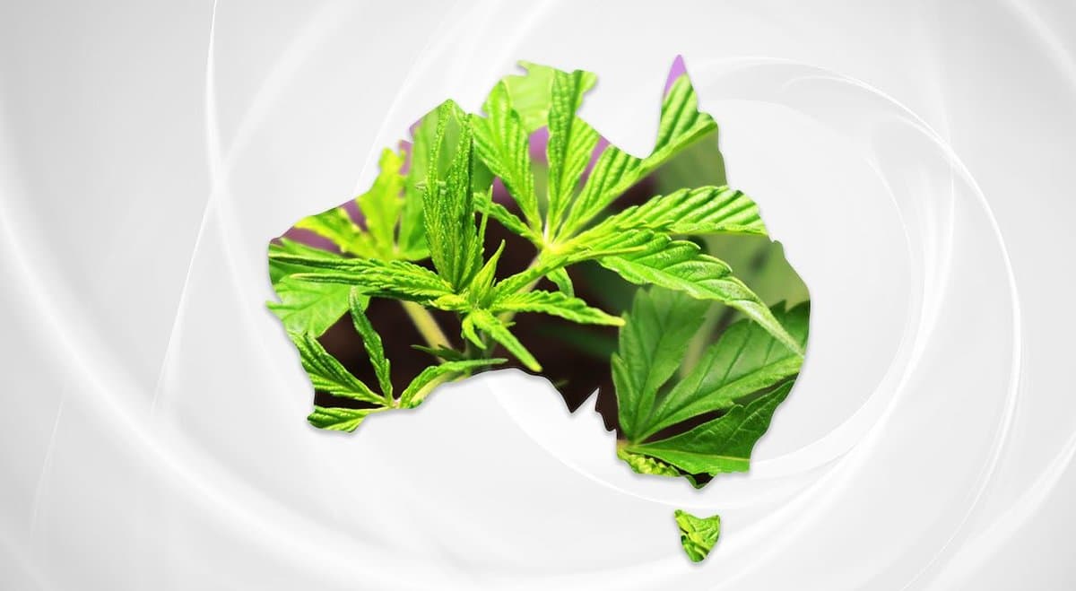 The history of cannabis in Australia