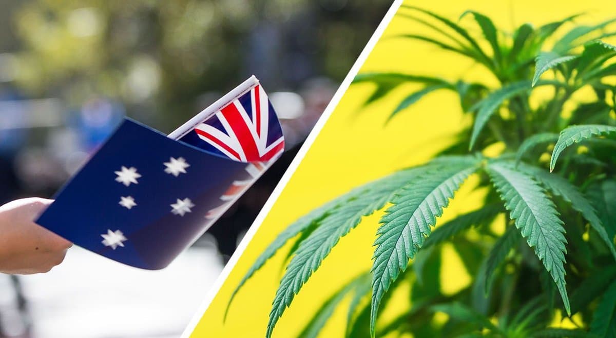 Thousands of Australians flood parliamentary petition for cannabis law reform