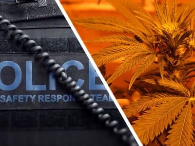 91% of cannabis-related arrests in WA have been on consumers in 2021