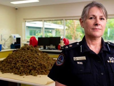 Alleged cannabis kingpin faces court in Darwin