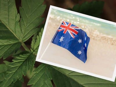 Australia shouldn't need dedicated 'Legalise Cannabis' parties
