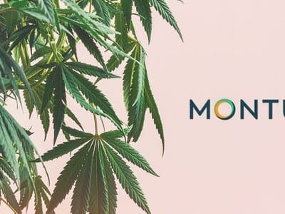 Australia's largest crowd-funding project is now a cannabis company
