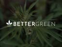 Better Green lodges application to build massive $15 million medical cannabis cultivation facility in Bathurst