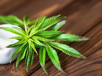 Cannim set to become major name in adult-use cannabis market through strategic merger