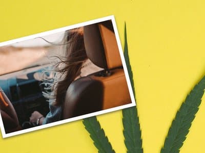 Impaired or not when driving? The SA government doesn't care