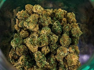 Melbourne man jailed for growing cannabis to "make ends meet" during COVID-19
