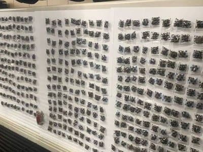 Multiple Cannabis Seizures in the Northern Territory