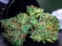 New UNSW research to examine how cannabis legalisation changed the ACT