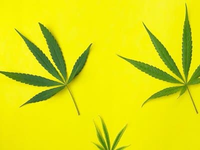 What does Victoria's 'Inquiry into the Use of Cannabis' report actually say?