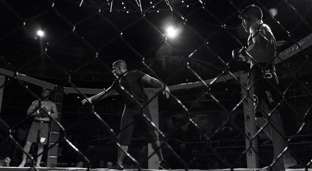 UFC Champion Supports Cannabis Legalisation In New Zealand