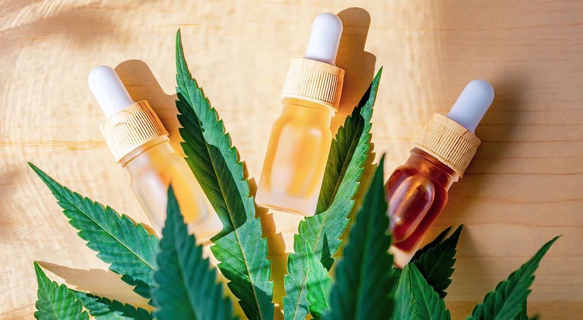 Unanimous support for Melbourne council's medical cannabis plan
