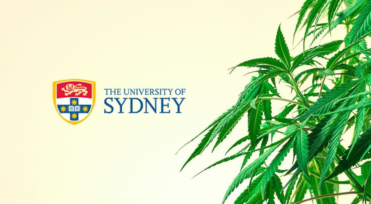 University of Sydney launches study into the quality-of-life of medical cannabis patients