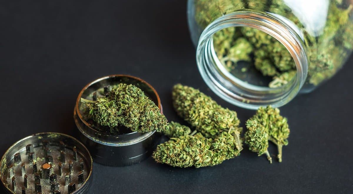 UQ Research Shows Young Australians Would Try Cannabis If It Were Legal