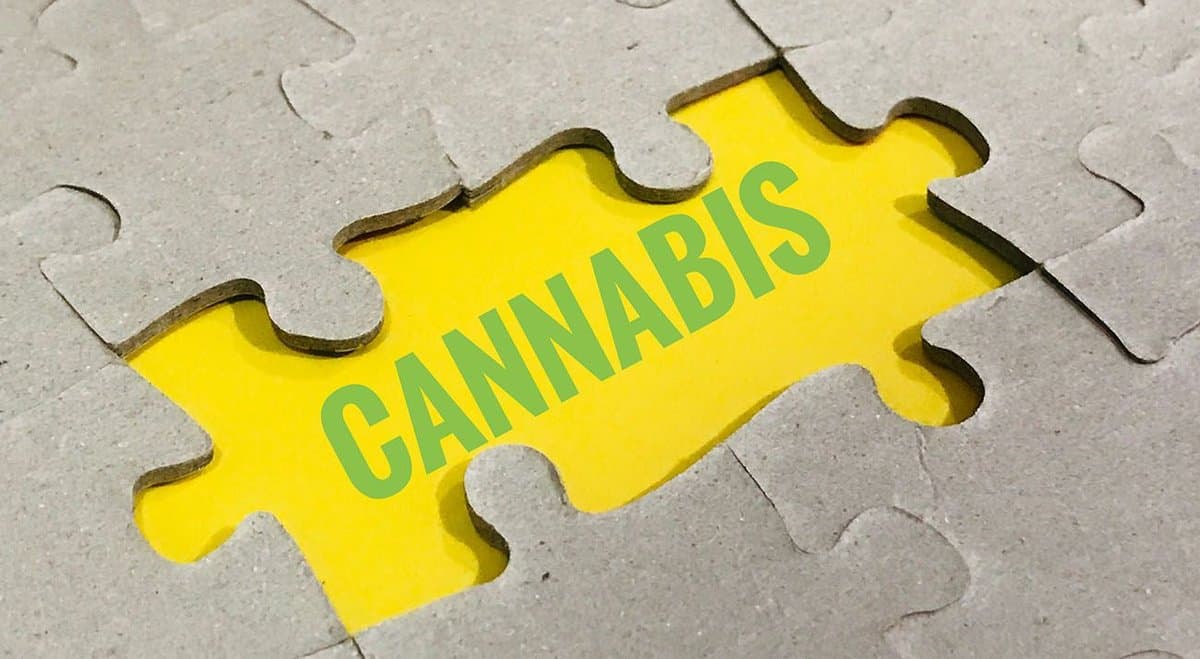 US cannabis industry soars, employing over 321,000 people full-time