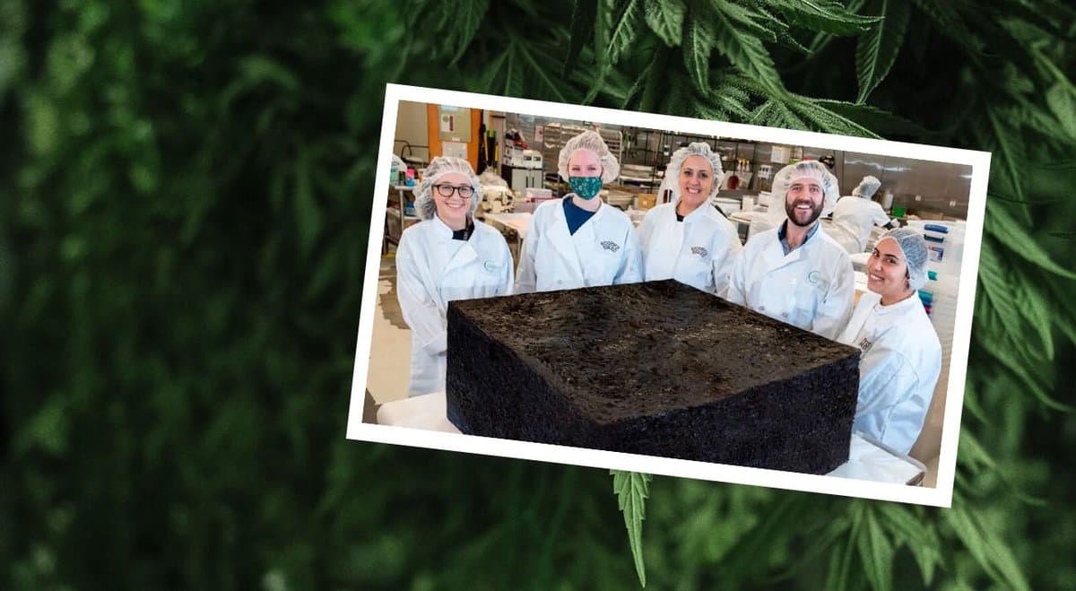 US company bakes "World's Largest Cannabis Brownie"  at 385kg