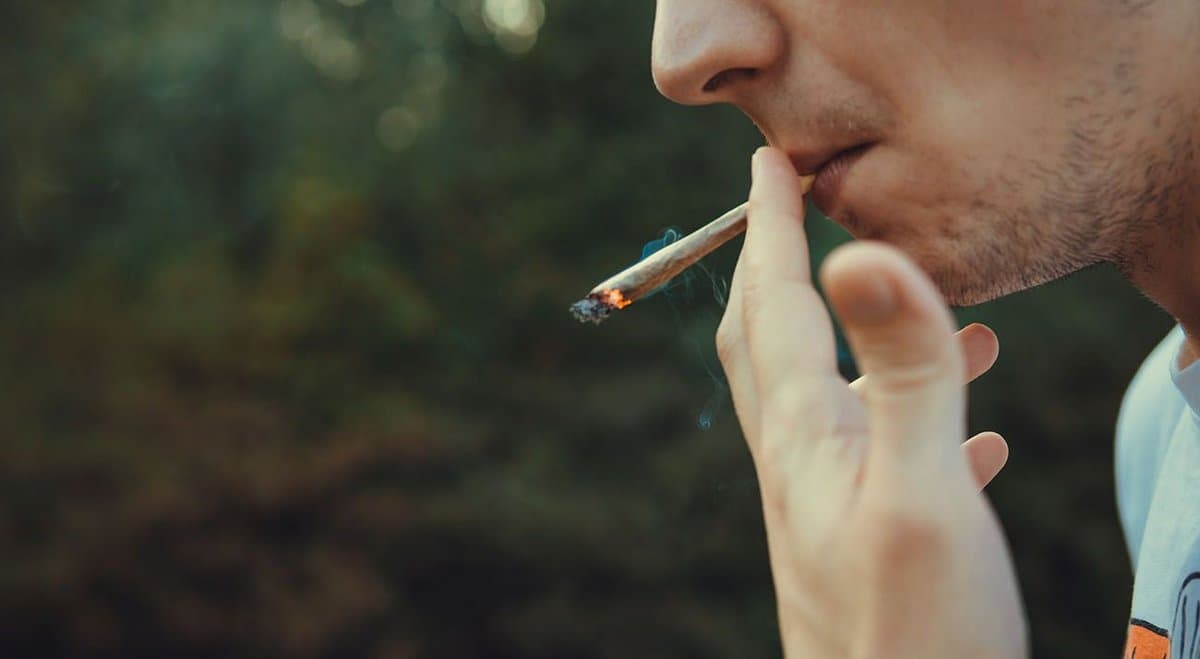 US Government confirms cannabis legalisation has not lead to cannabis addiction in teens