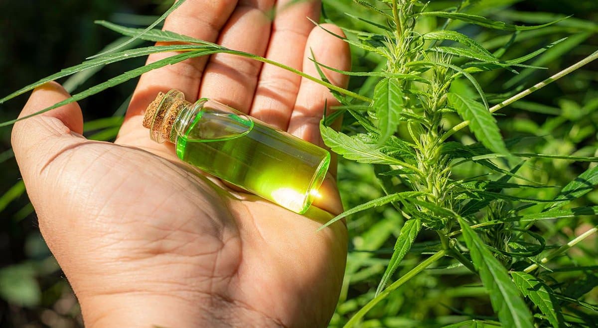 USA study questions link between OCD and cannabis