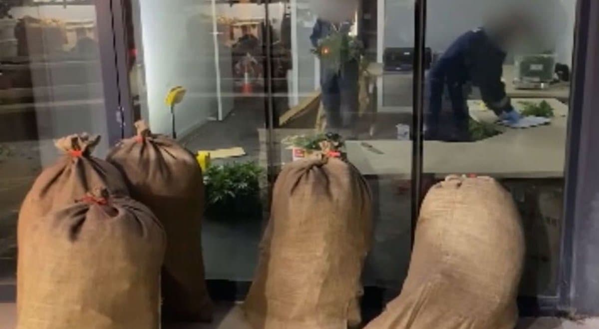Victoria police seize 340 cannabis plants from grow house in Ravenhall