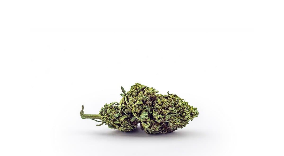 What can medical cannabis do for autism in children?