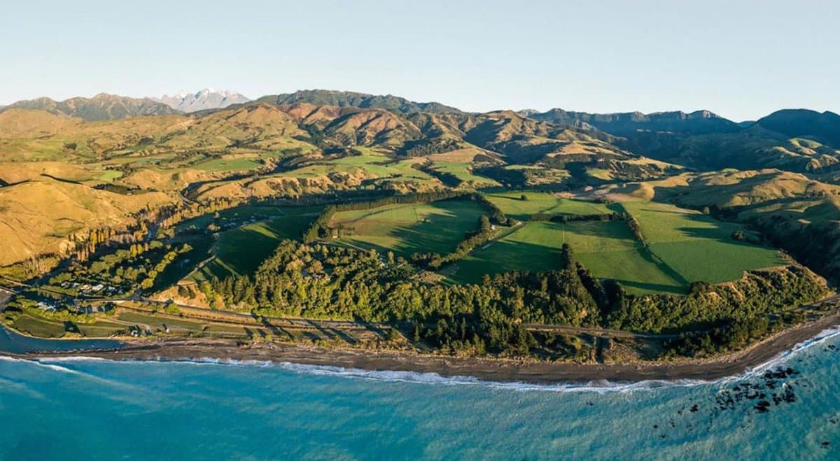 Why a New Zealand company chose to grow cannabis by the seaside