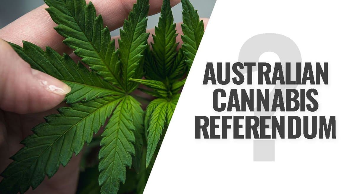 Why Australia should NOT hold a cannabis referendum