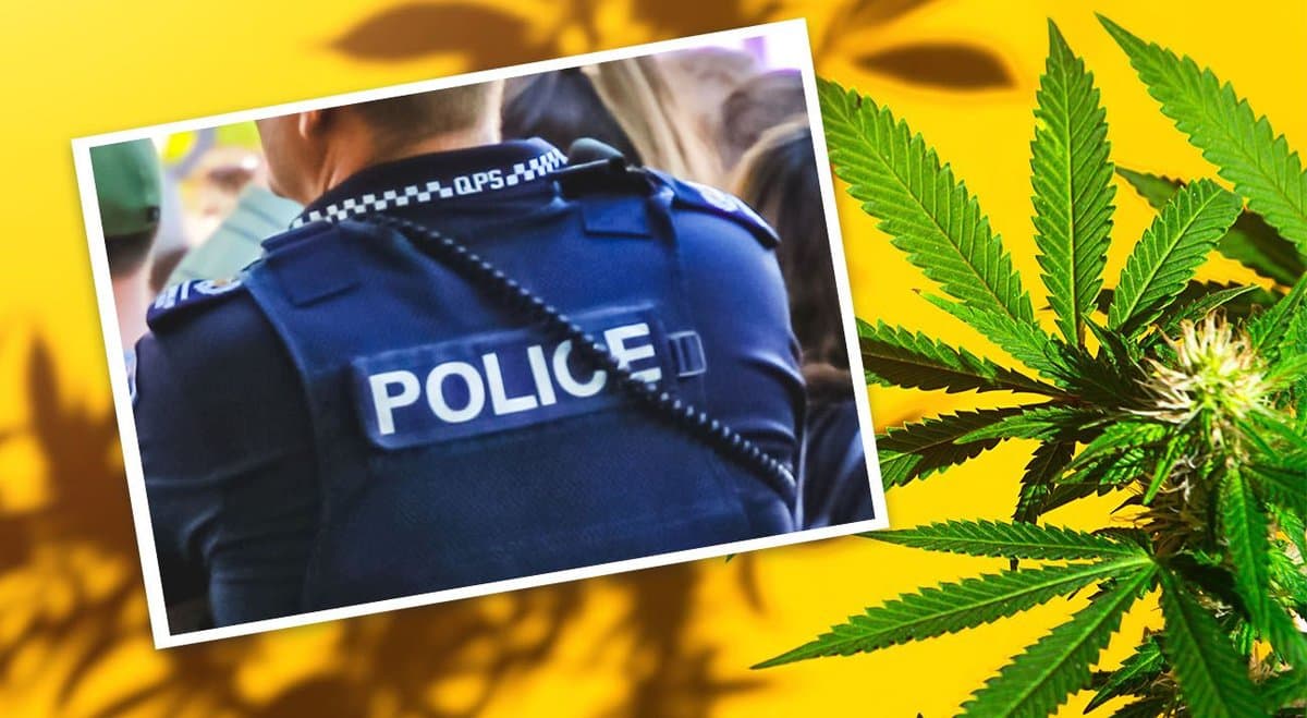 Why does the 'Victorian Police continue to oppose the legalisation of cannabis'?