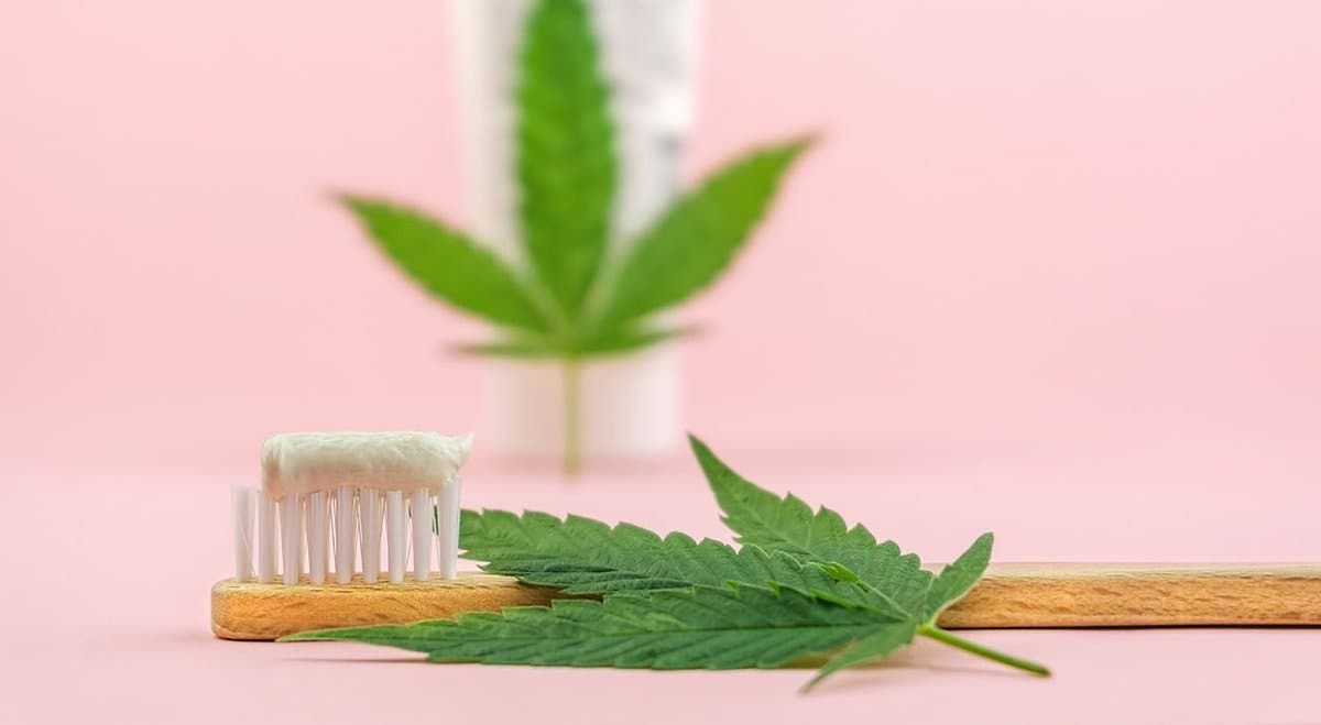 Zelira Therapeutics develops cannabis toothpaste for US market