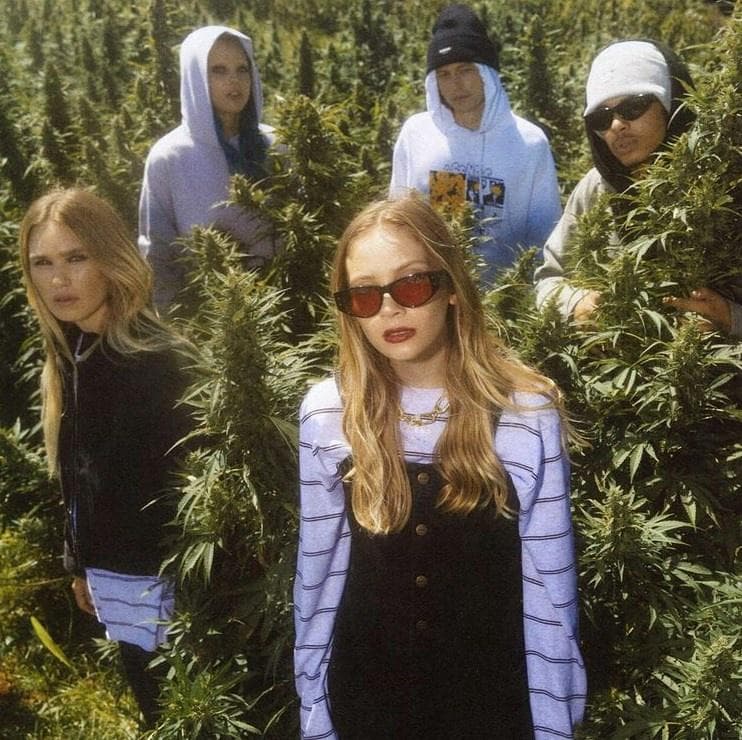 afends - Gallery Image 1