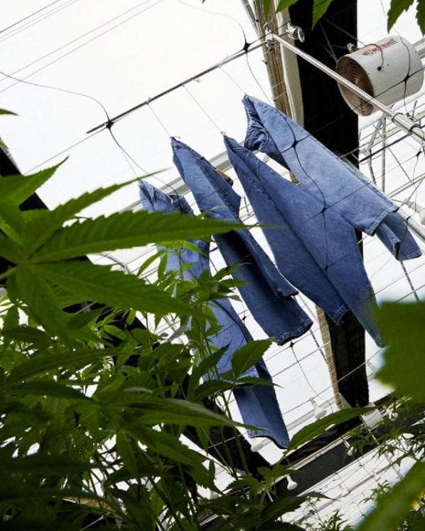 afends - Gallery Image 3