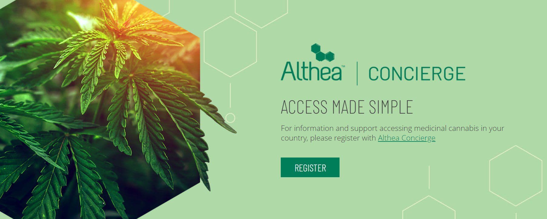 althea-group - Gallery Image 3