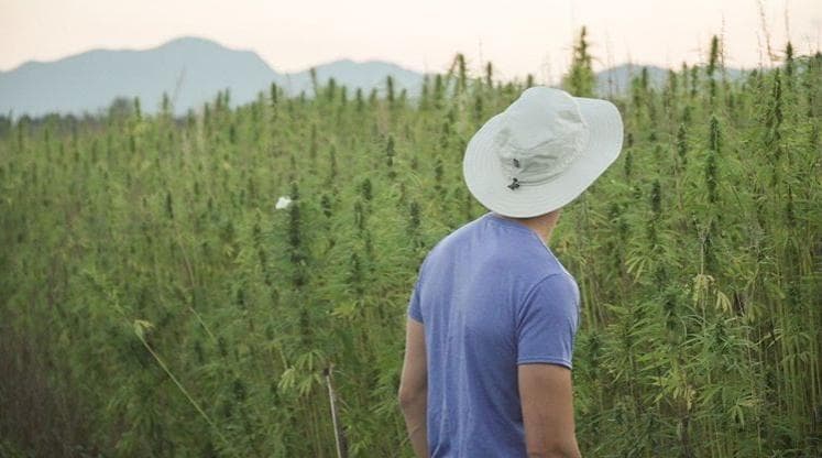 ananda-clinics - Gallery Image 4