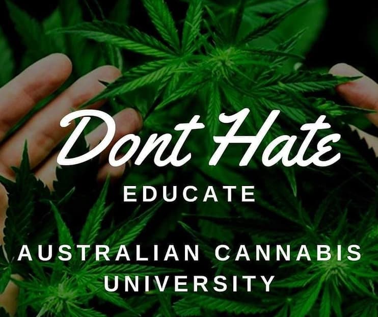 australian-cannabis-university - Gallery Image 2