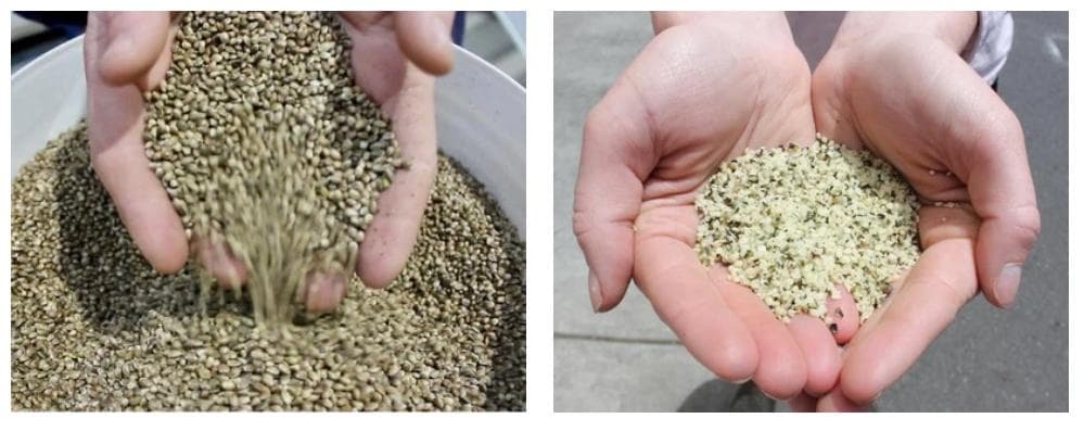 australian-primary-hemp - Gallery Image 1