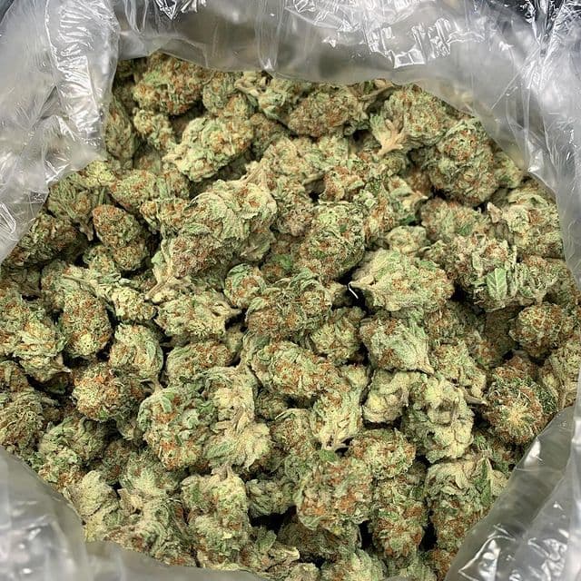 better-green - Gallery Image 1