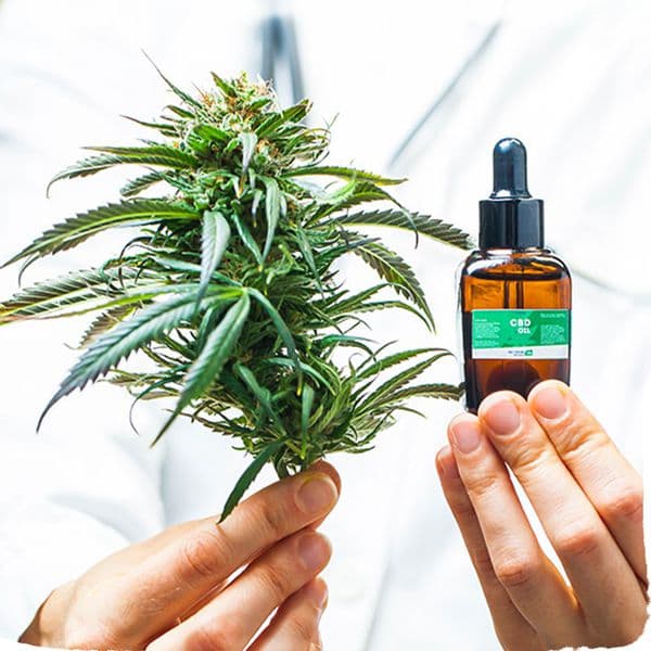 botanic-wellness-limited - Gallery Image 2