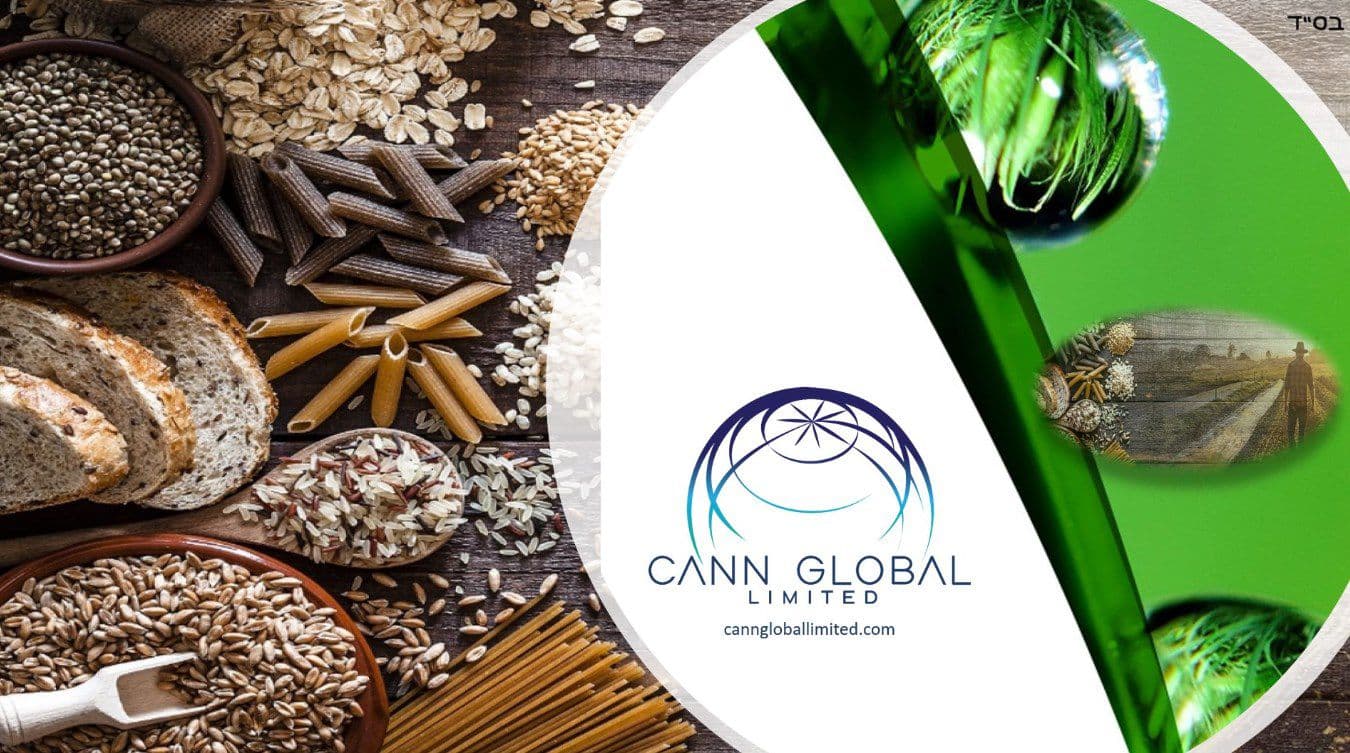 cann-global - Gallery Image 1