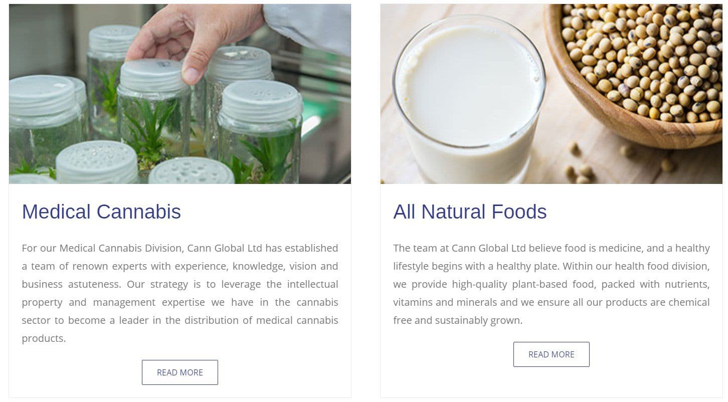 cann-global - Gallery Image 2
