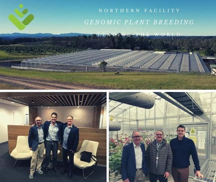 canna-pacific - Gallery Image 1