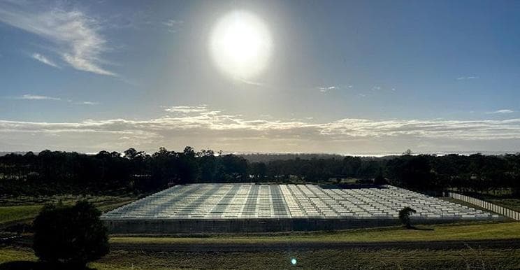 canna-pacific - Gallery Image 3