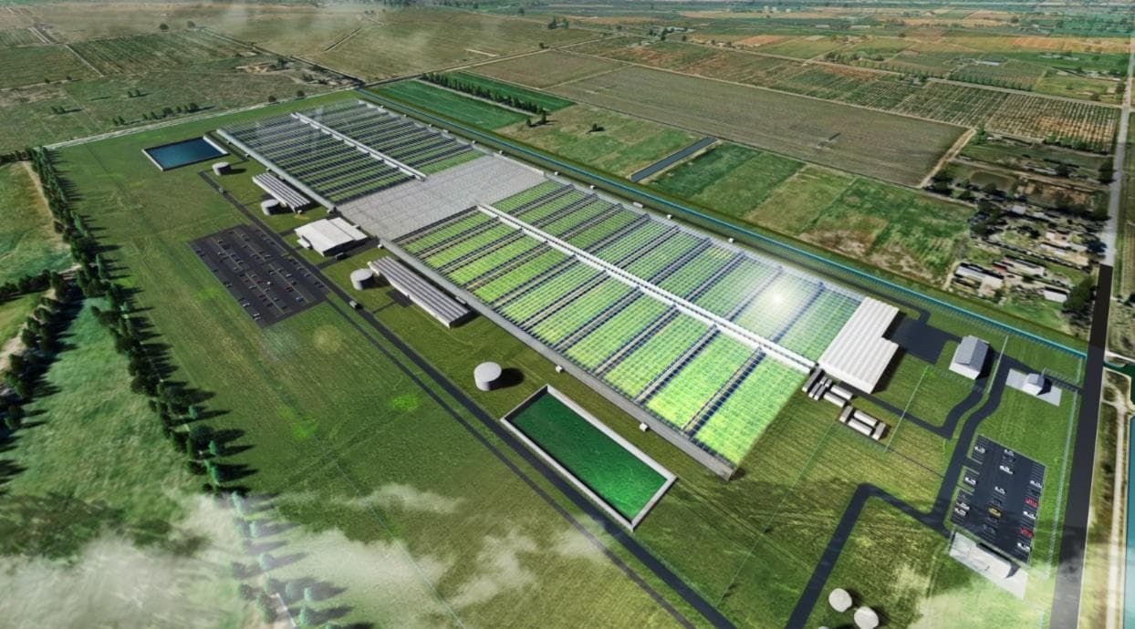 cannatrek - Gallery Image 1