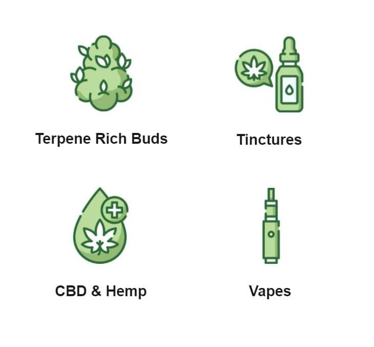 cannim - Gallery Image 4