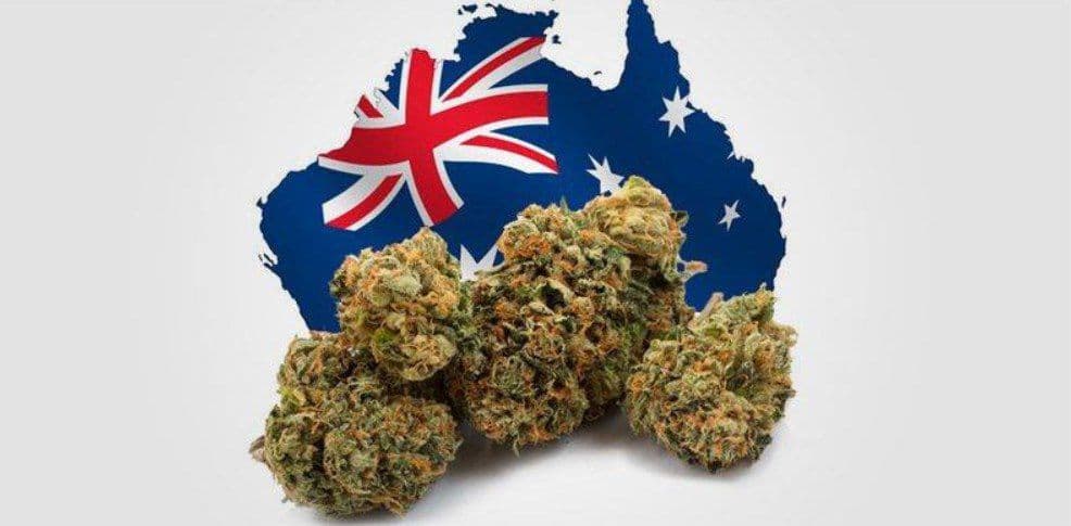 cannvalate - Gallery Image 3