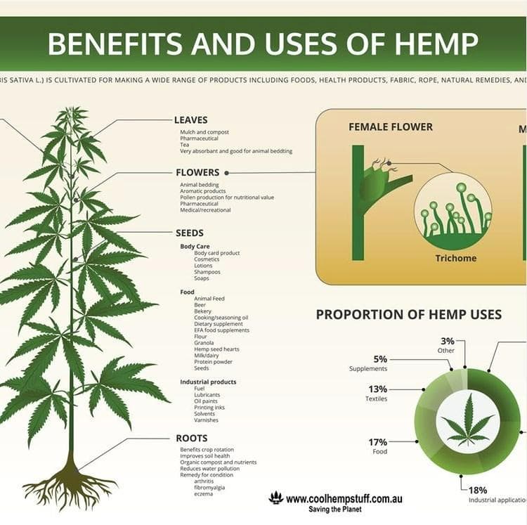 cool-hemp-stuff - Gallery Image 3