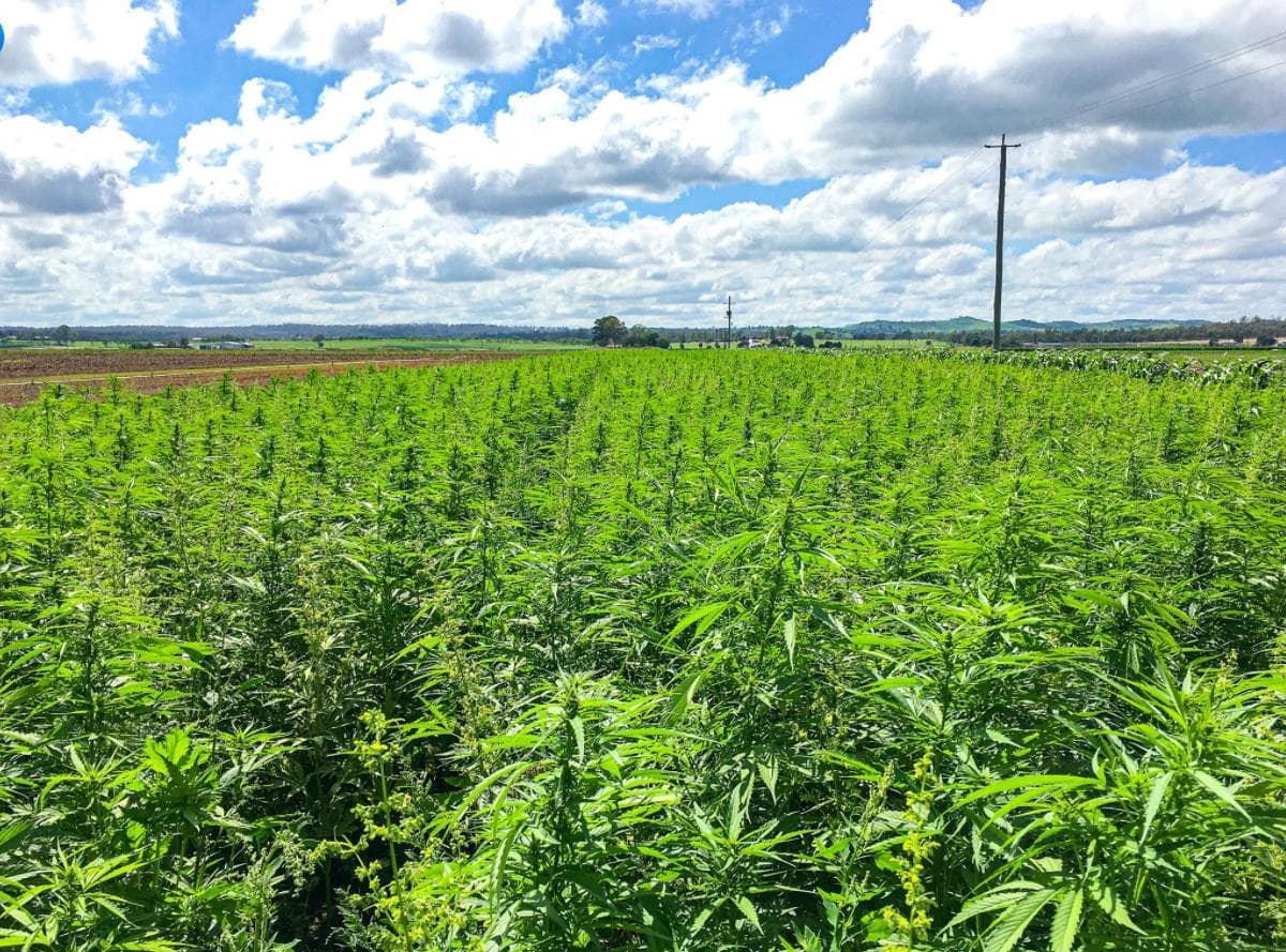 ecofibre - Gallery Image 4