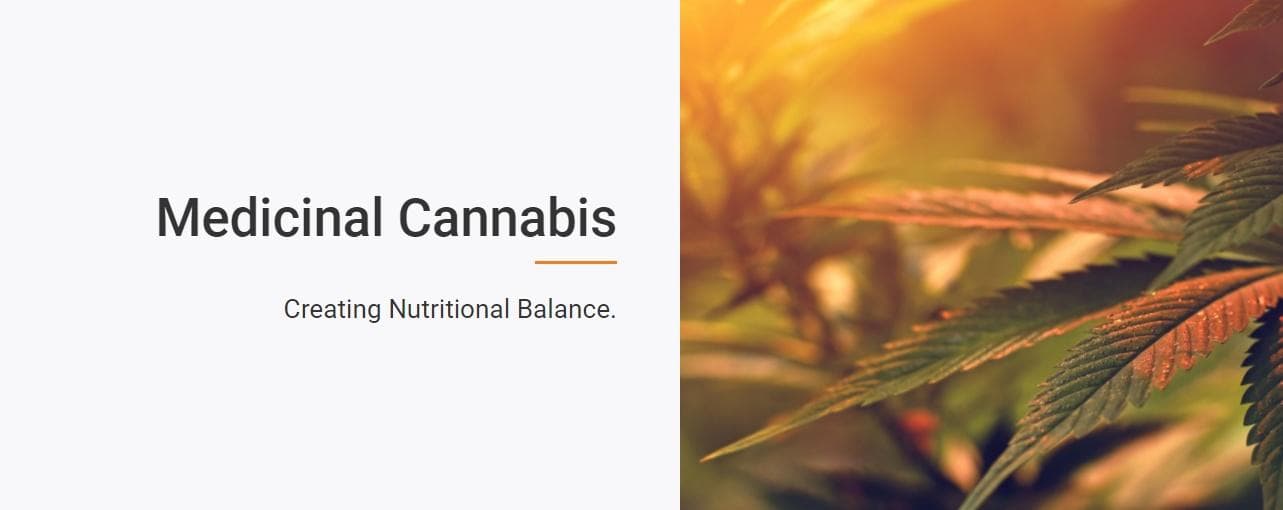 entoura - Gallery Image 2