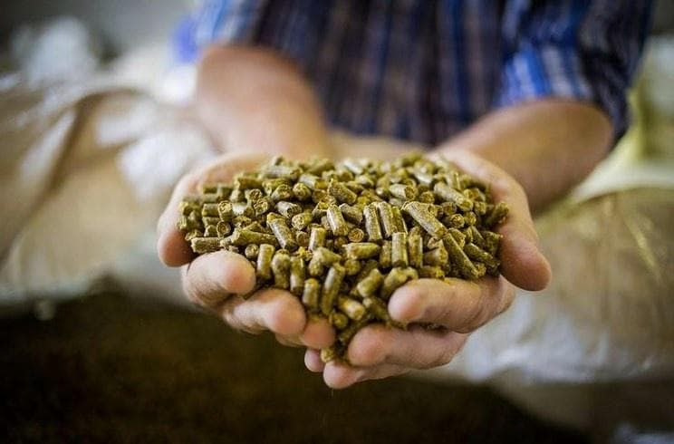 hemp-culture - Gallery Image 3