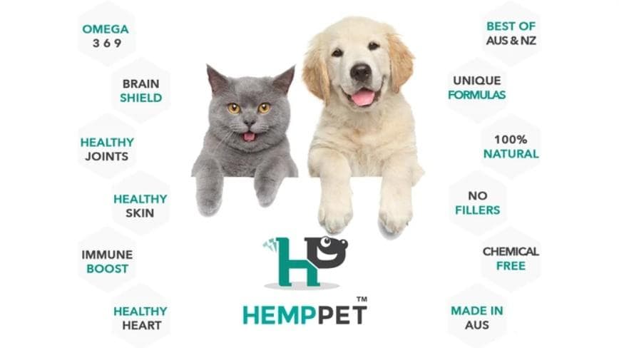 hemp-fields - Gallery Image 1